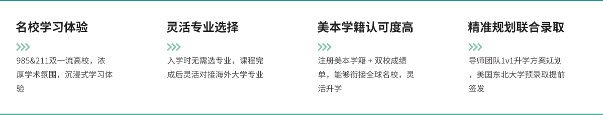 20241112142224969092.png 项目优势.png