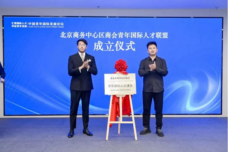 20250410371032139152.png image.png